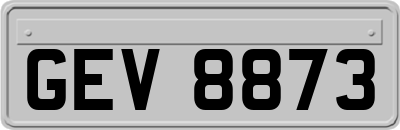 GEV8873