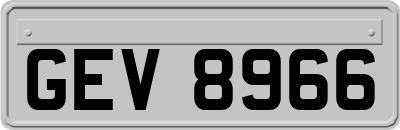 GEV8966