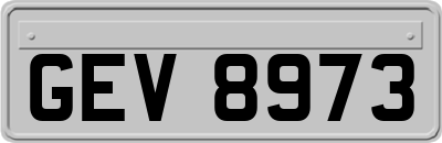 GEV8973