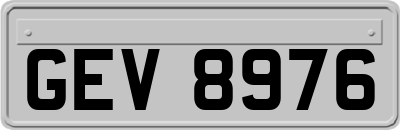 GEV8976