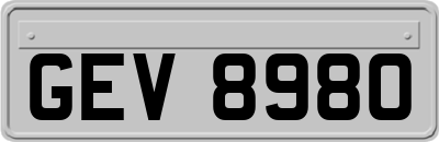 GEV8980