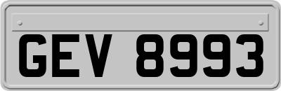 GEV8993