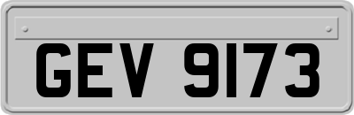 GEV9173