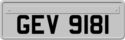 GEV9181