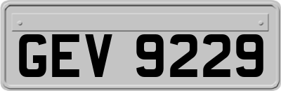 GEV9229