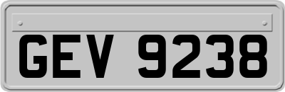 GEV9238