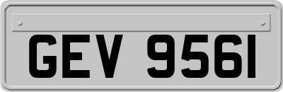 GEV9561