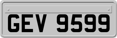 GEV9599