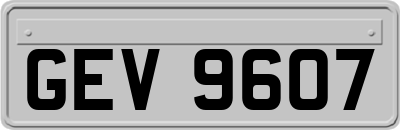 GEV9607