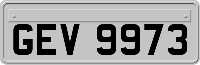 GEV9973