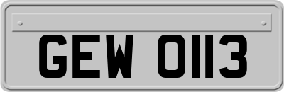 GEW0113
