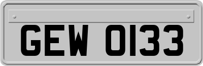 GEW0133