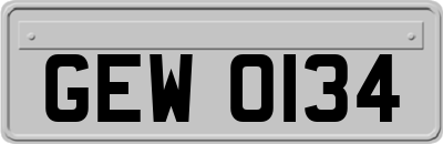 GEW0134