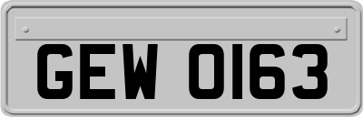 GEW0163