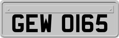 GEW0165