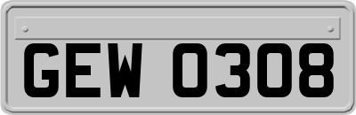 GEW0308