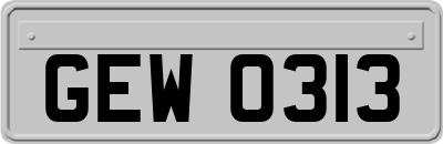 GEW0313