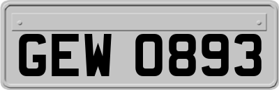 GEW0893