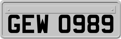 GEW0989