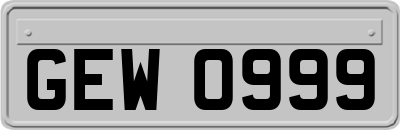 GEW0999