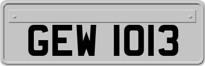 GEW1013