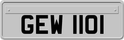 GEW1101