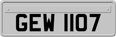 GEW1107