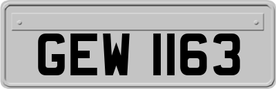 GEW1163