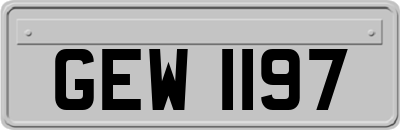 GEW1197