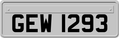 GEW1293