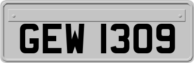 GEW1309