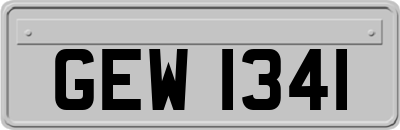 GEW1341