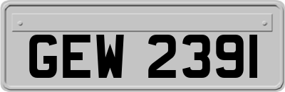 GEW2391