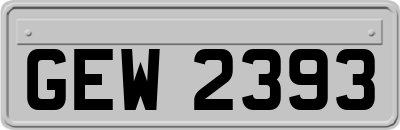 GEW2393