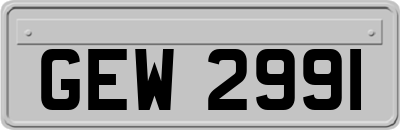 GEW2991