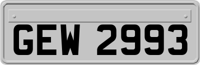 GEW2993
