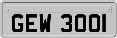 GEW3001