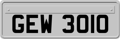 GEW3010