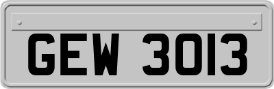 GEW3013