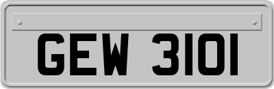 GEW3101