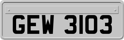 GEW3103