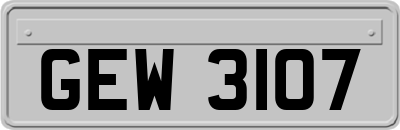GEW3107