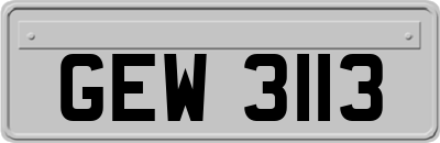 GEW3113