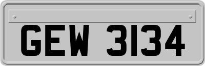 GEW3134
