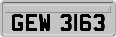 GEW3163