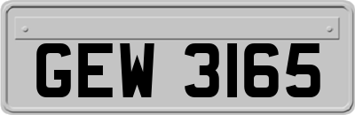 GEW3165