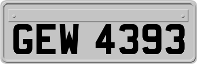 GEW4393