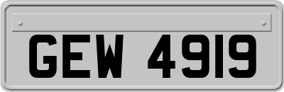 GEW4919