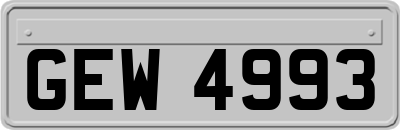GEW4993
