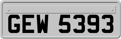 GEW5393
